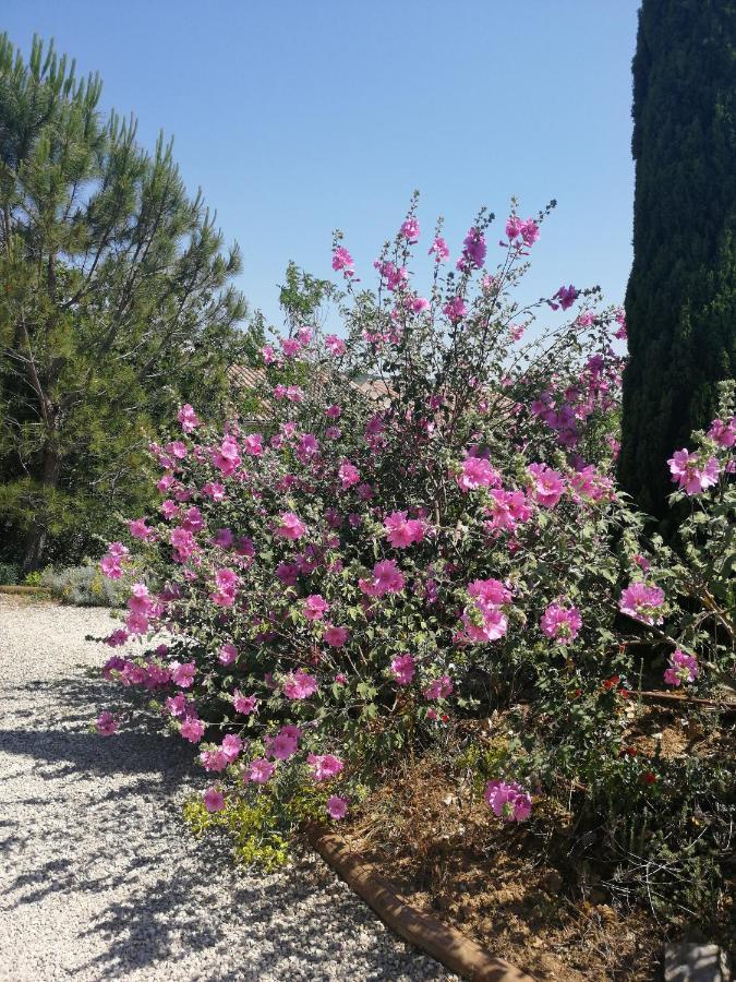ווג Gite Le Mas De Molines מראה חיצוני תמונה