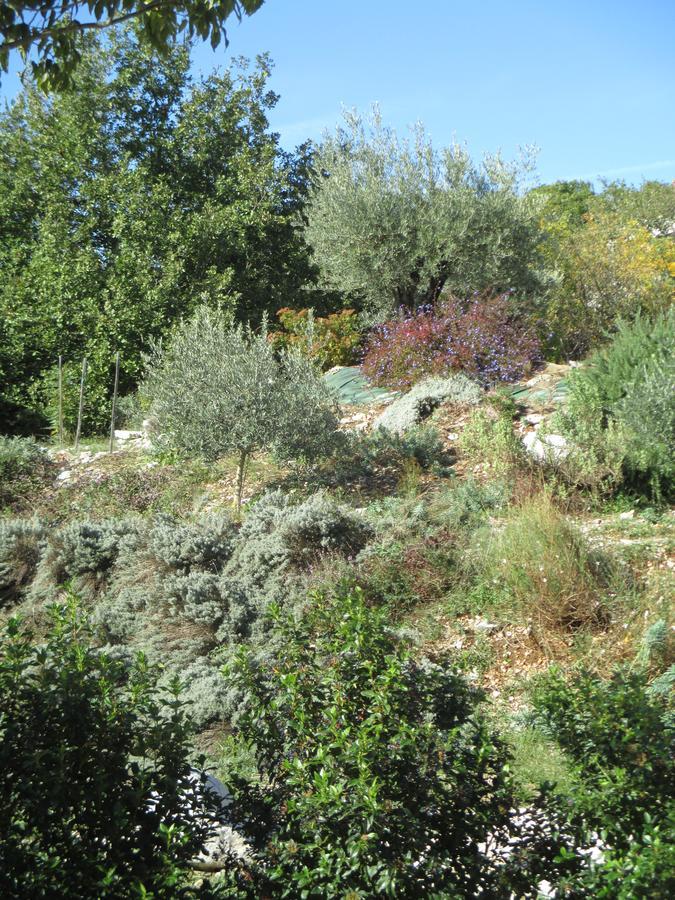 ווג Gite Le Mas De Molines מראה חיצוני תמונה